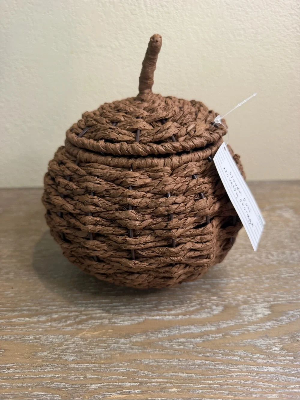 Target Bullseye Acorn & Pumpkin Shaped Woven Wicker Basket With Lid